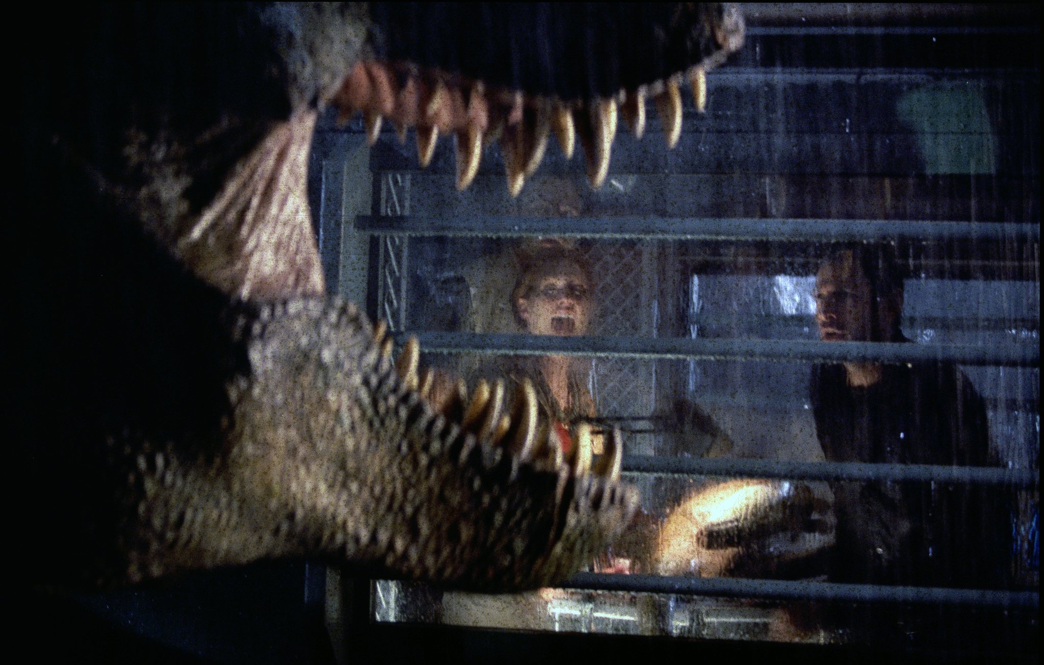 Still of Julianne Moore in The Lost World: Jurassic Park (1997)