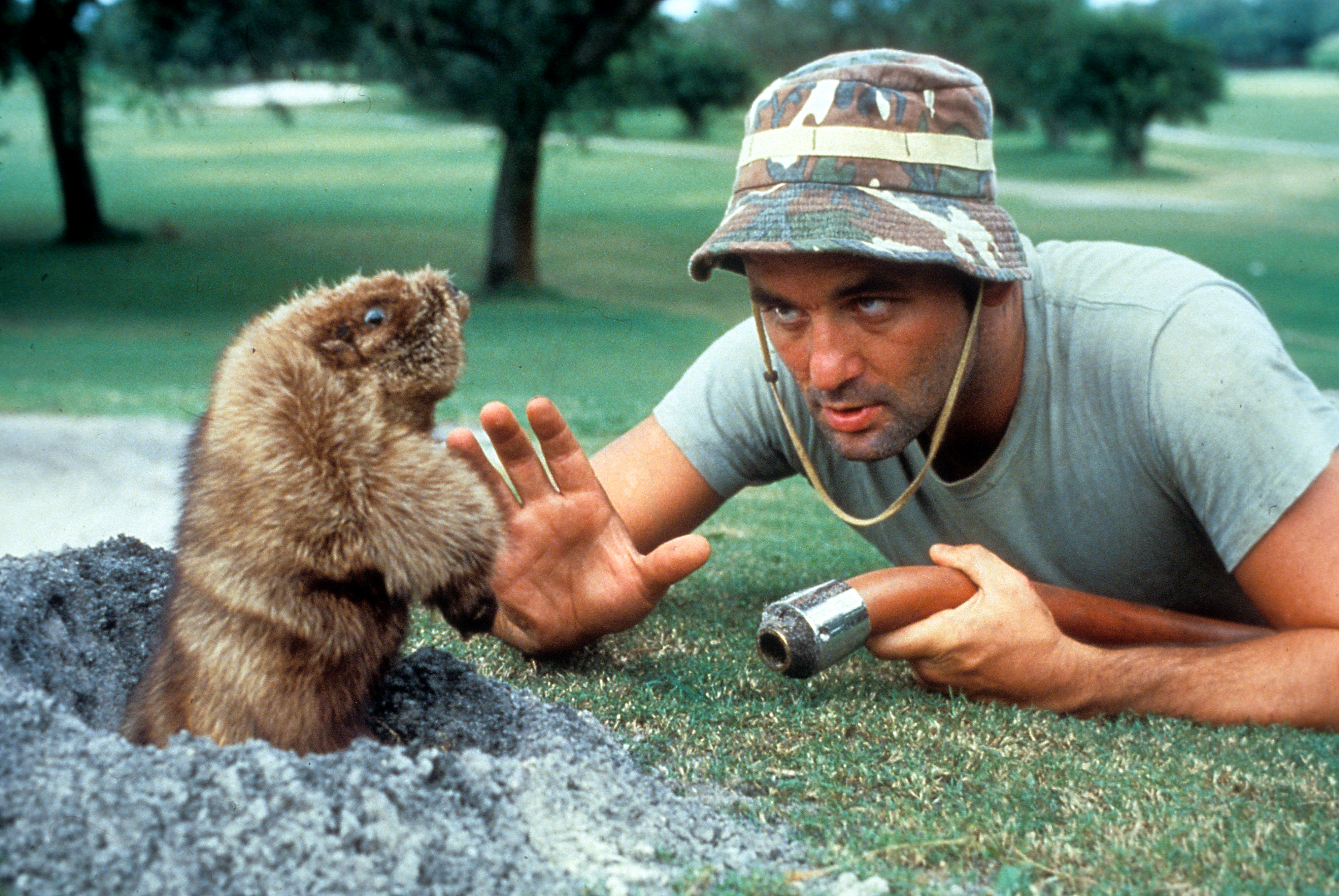 Still of Bill Murray in Caddyshack (1980)