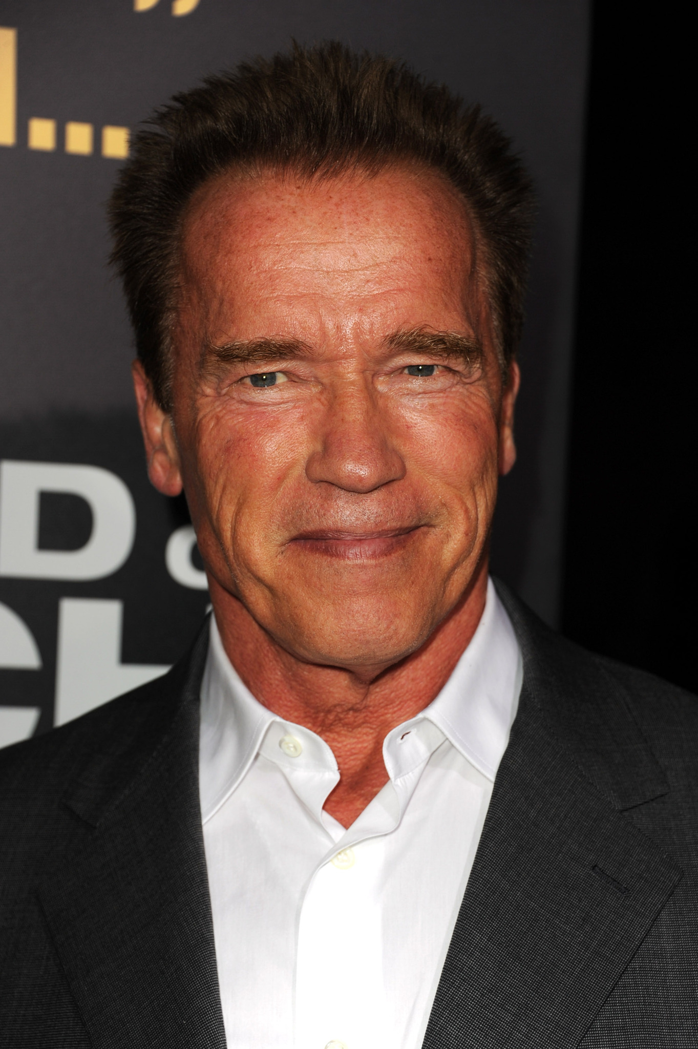 Arnold Schwarzenegger at event of End of Watch (2012)