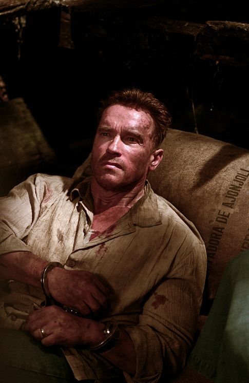 Still of Arnold Schwarzenegger in Kerstas (2002)