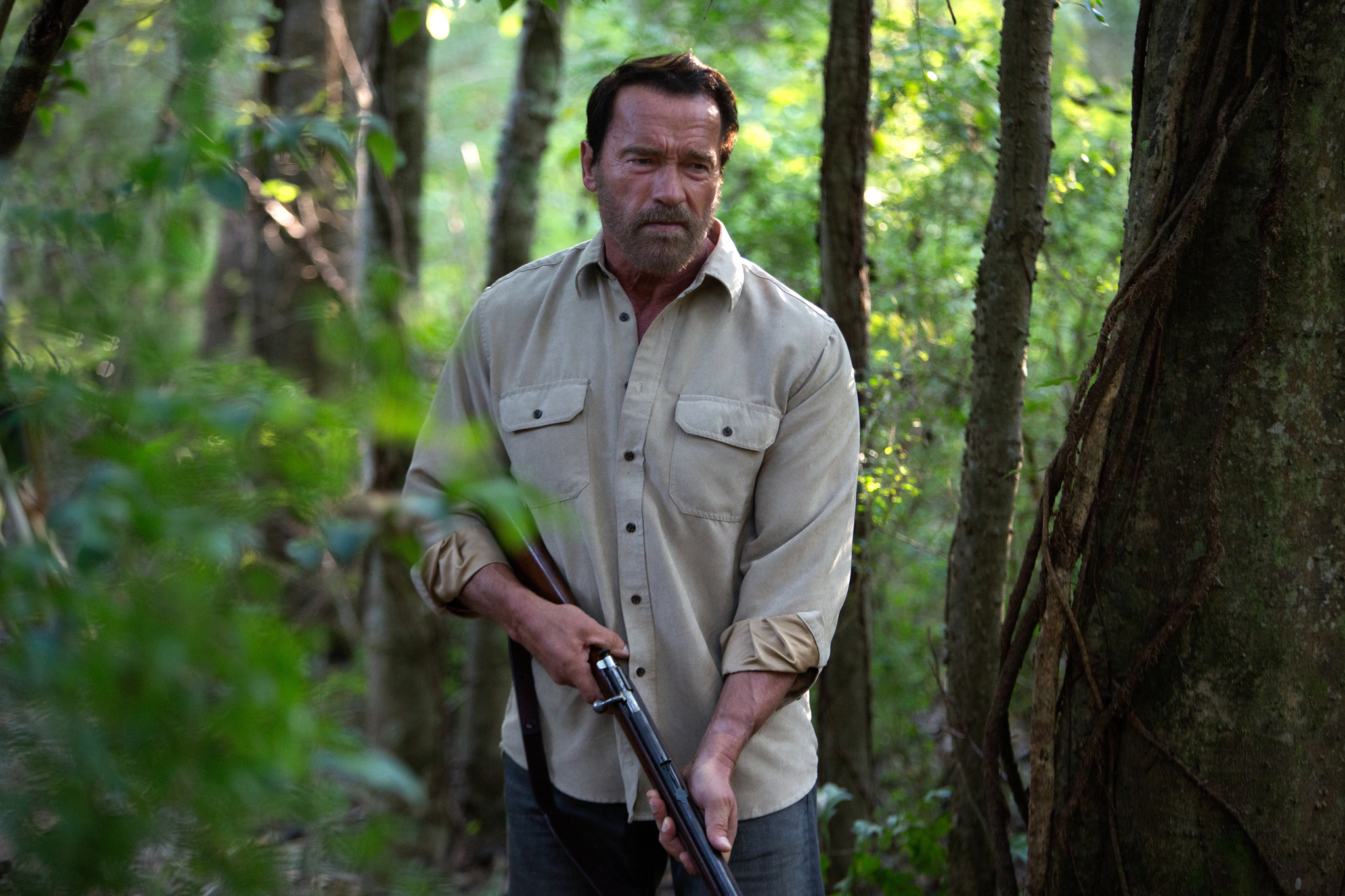 Still of Arnold Schwarzenegger in Maggie (2015)