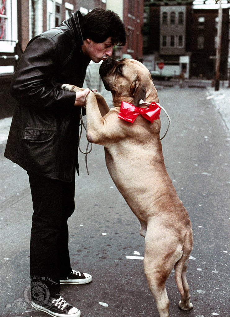 Still of Sylvester Stallone in Rocky (1976)