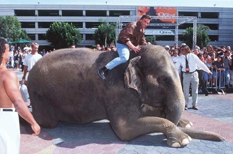 Jean-Claude Van Damme at event of The Quest (1996)