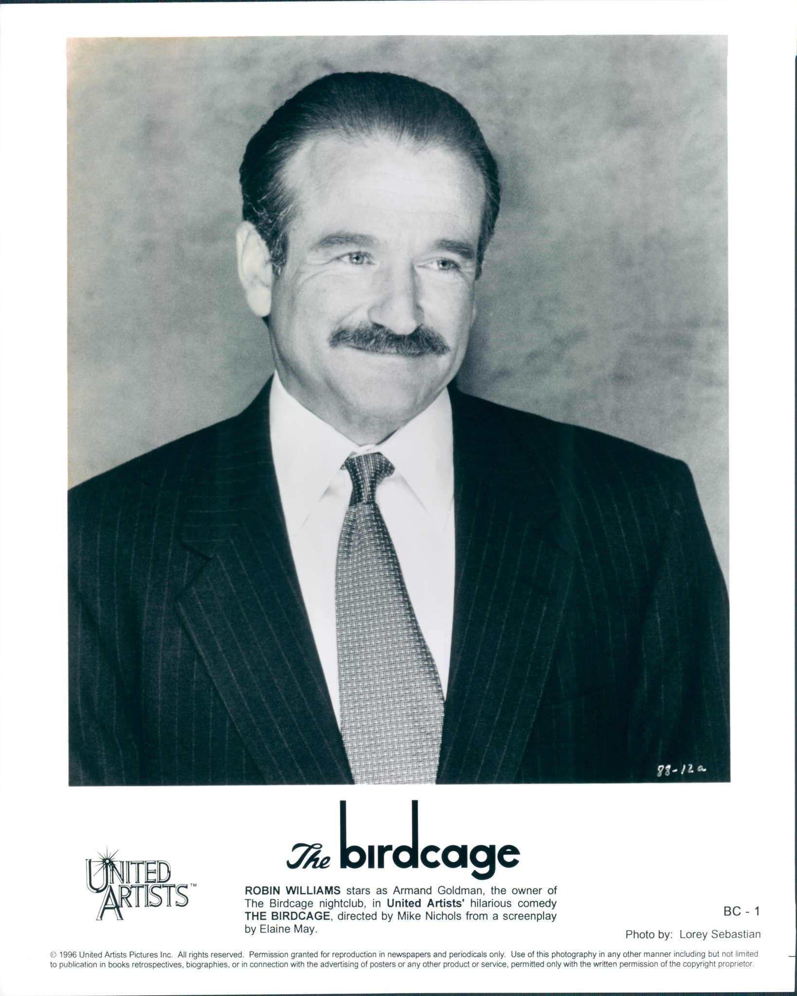 Still of Robin Williams in The Birdcage (1996)