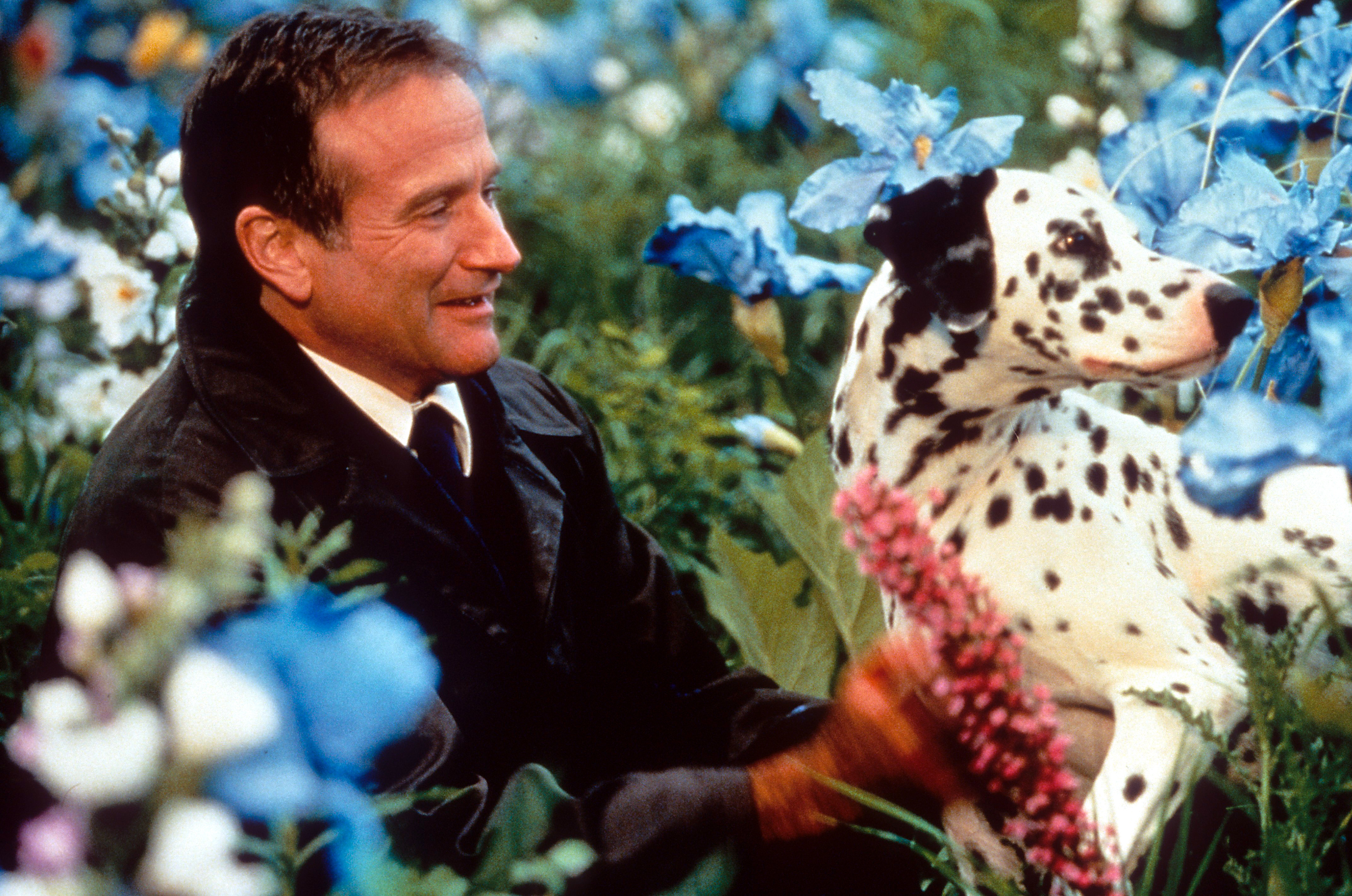 Still of Robin Williams in Kur nunesa sapnai (1998)