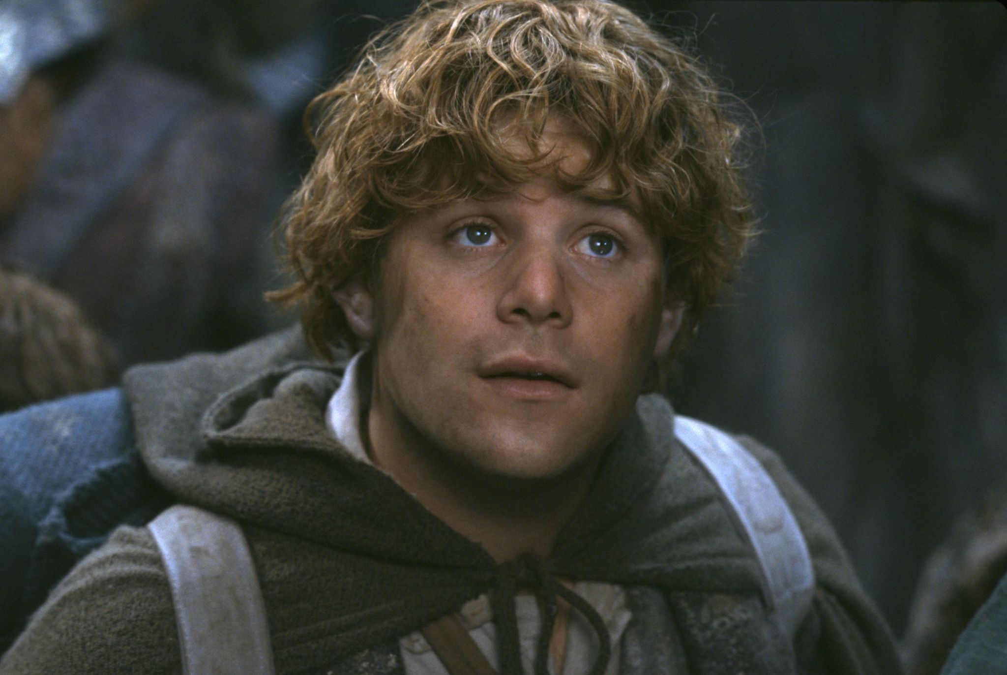 Still of Sean Astin in Ziedu Valdovas: Ziedo brolija (2001)