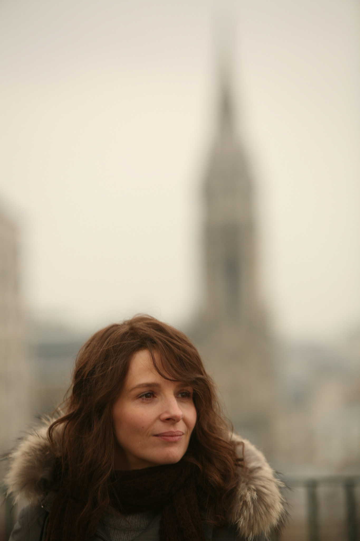Still of Juliette Binoche in Paris (2008)