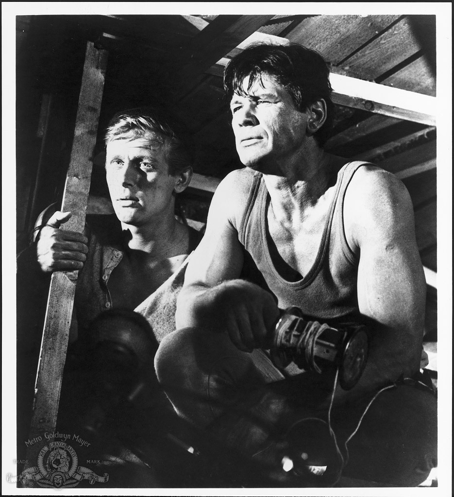 Still of Charles Bronson and John Leyton in The Great Escape (1963)
