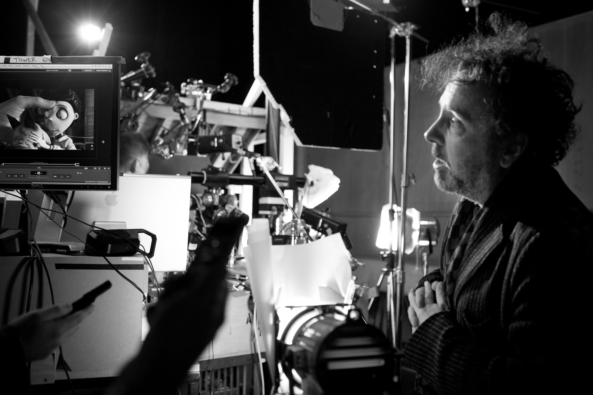 Tim Burton in Frankenvynis (2012)