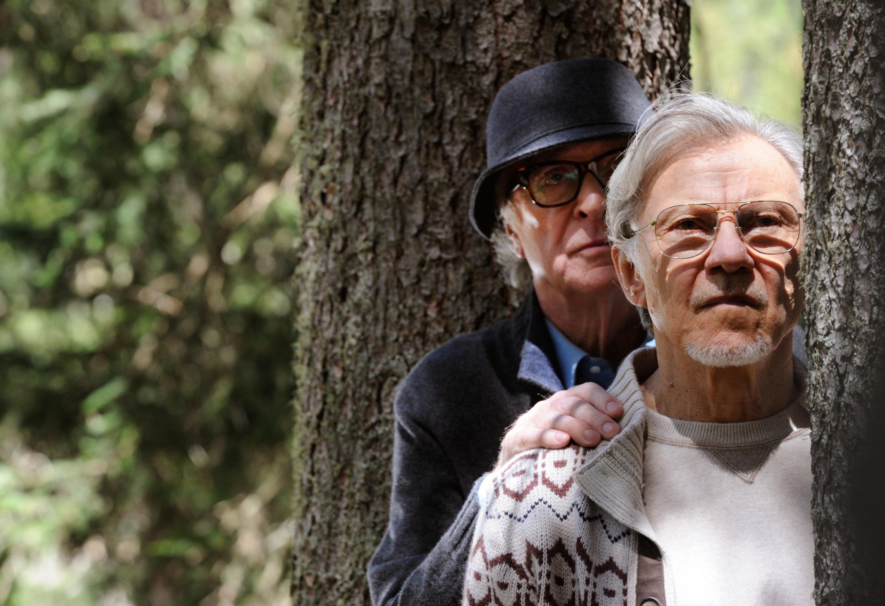 Still of Harvey Keitel and Michael Caine in Youth (2015)