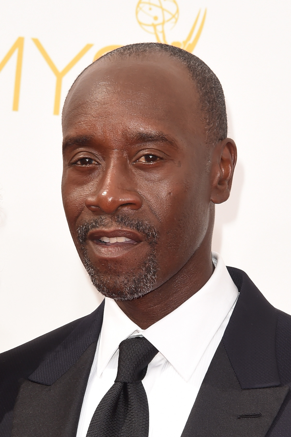 Don Cheadle at event of The 66th Primetime Emmy Awards (2014)