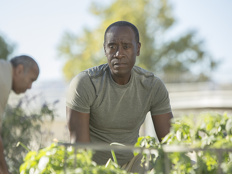 Still of Don Cheadle in House of Lies (2012)