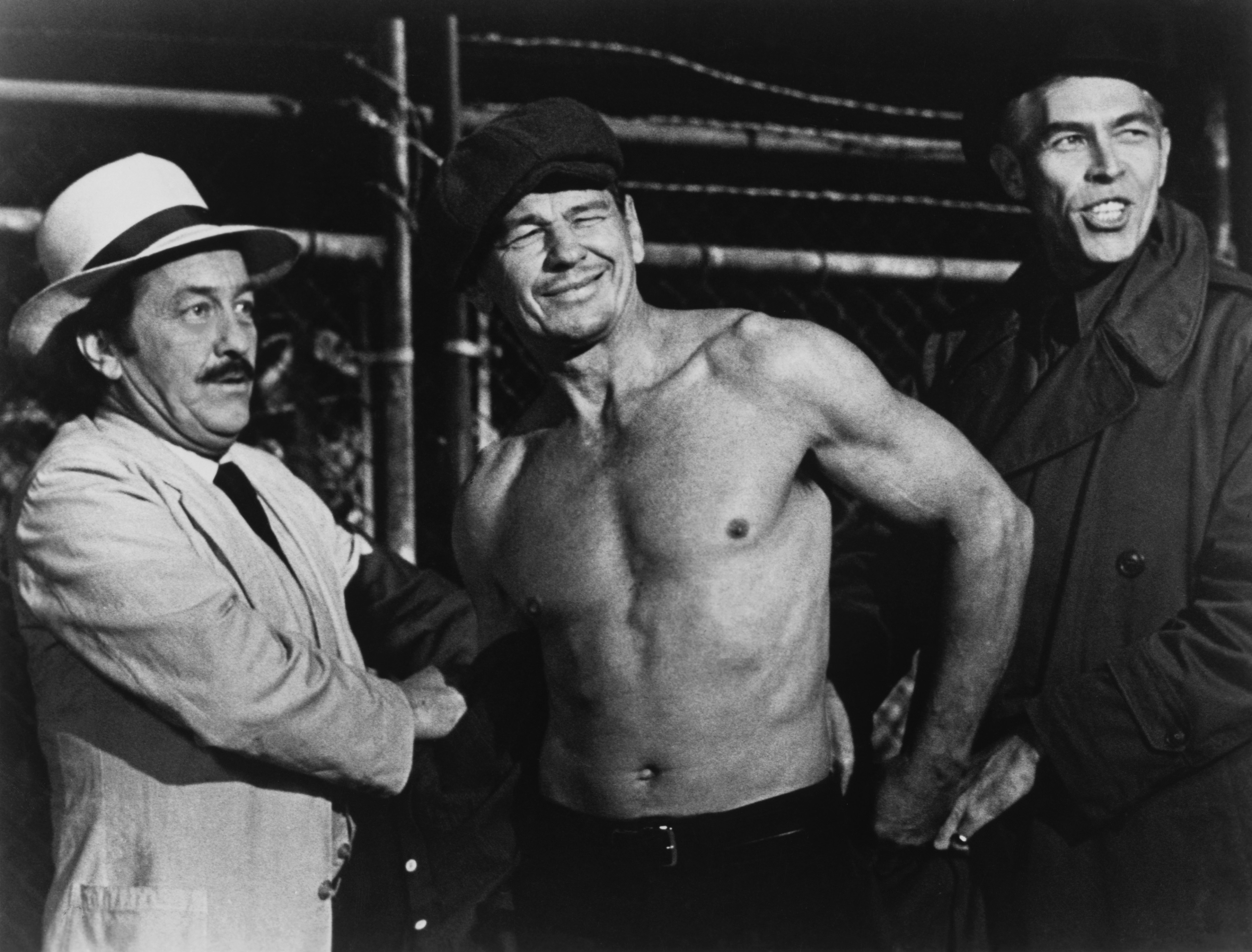 Still of Charles Bronson and James Coburn in Hard Times (1975)