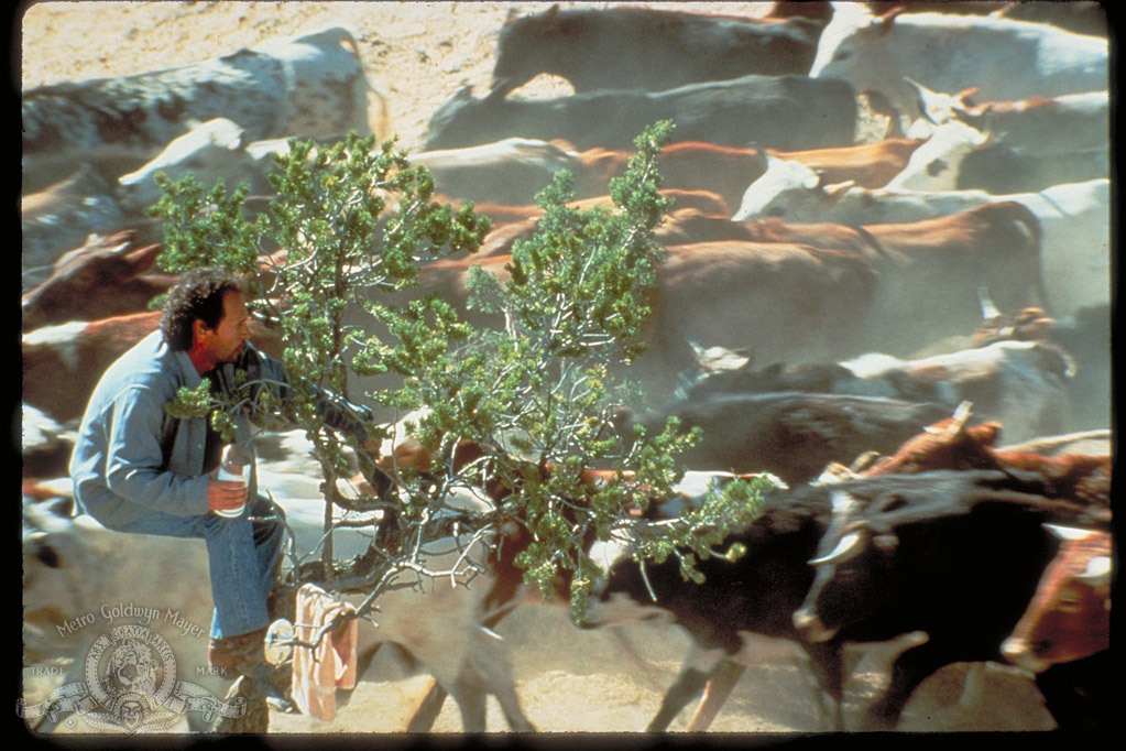 Still of Billy Crystal in City Slickers (1991)