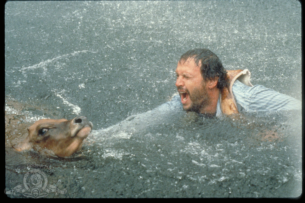 Still of Billy Crystal in City Slickers (1991)