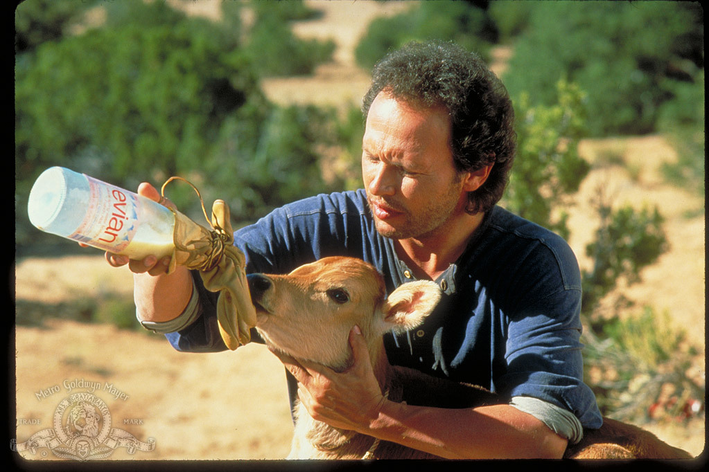 Still of Billy Crystal in City Slickers (1991)