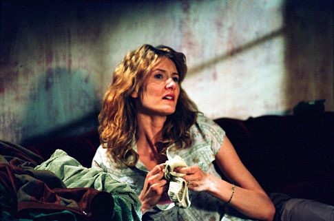 Still of Laura Dern in We Don't Live Here Anymore (2004)