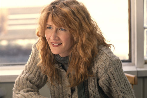 Still of Laura Dern in We Don't Live Here Anymore (2004)