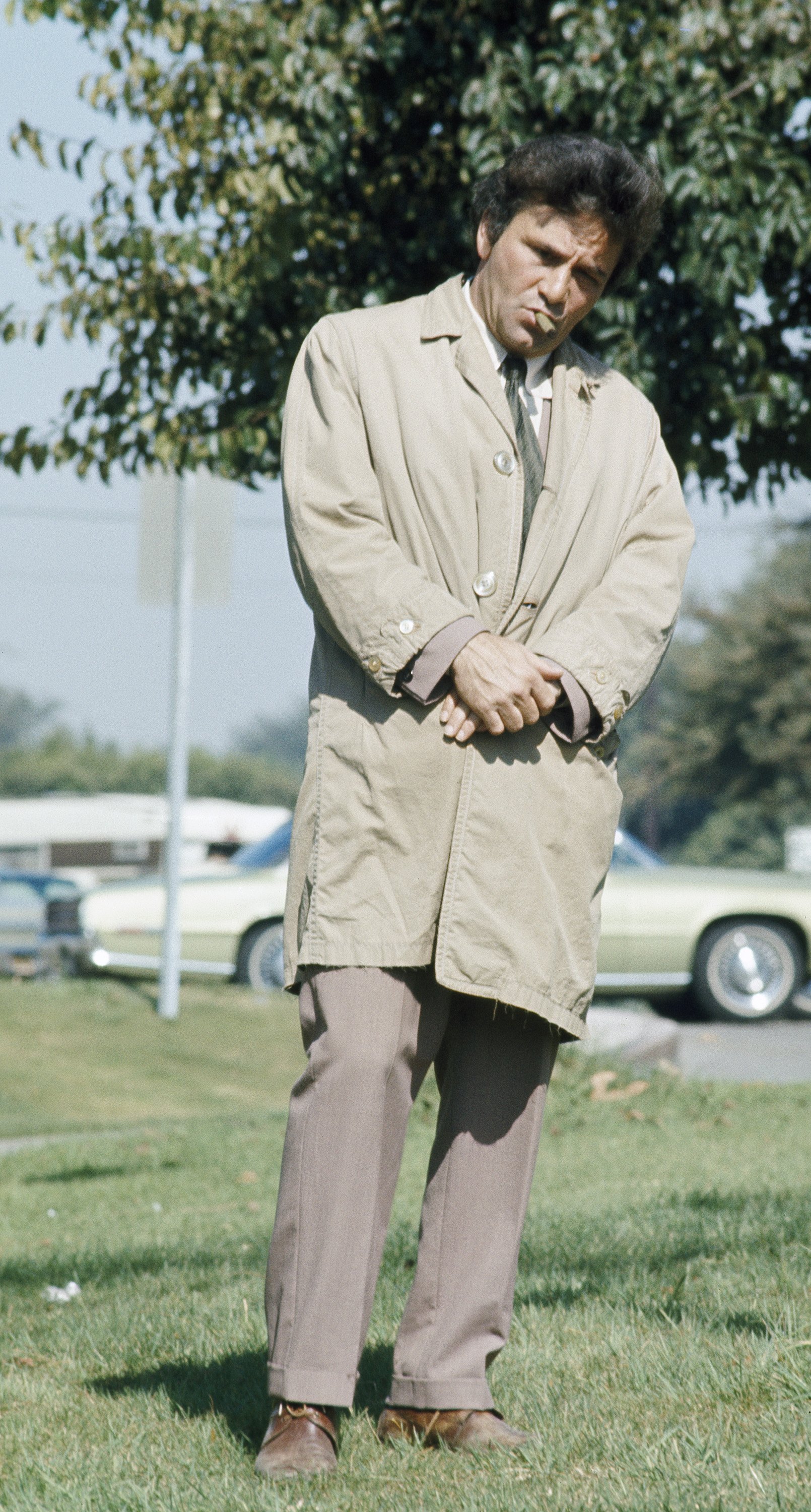 Still of Peter Falk in Columbo (1971)