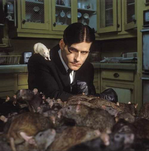 Still of Crispin Glover in Willard (2003)