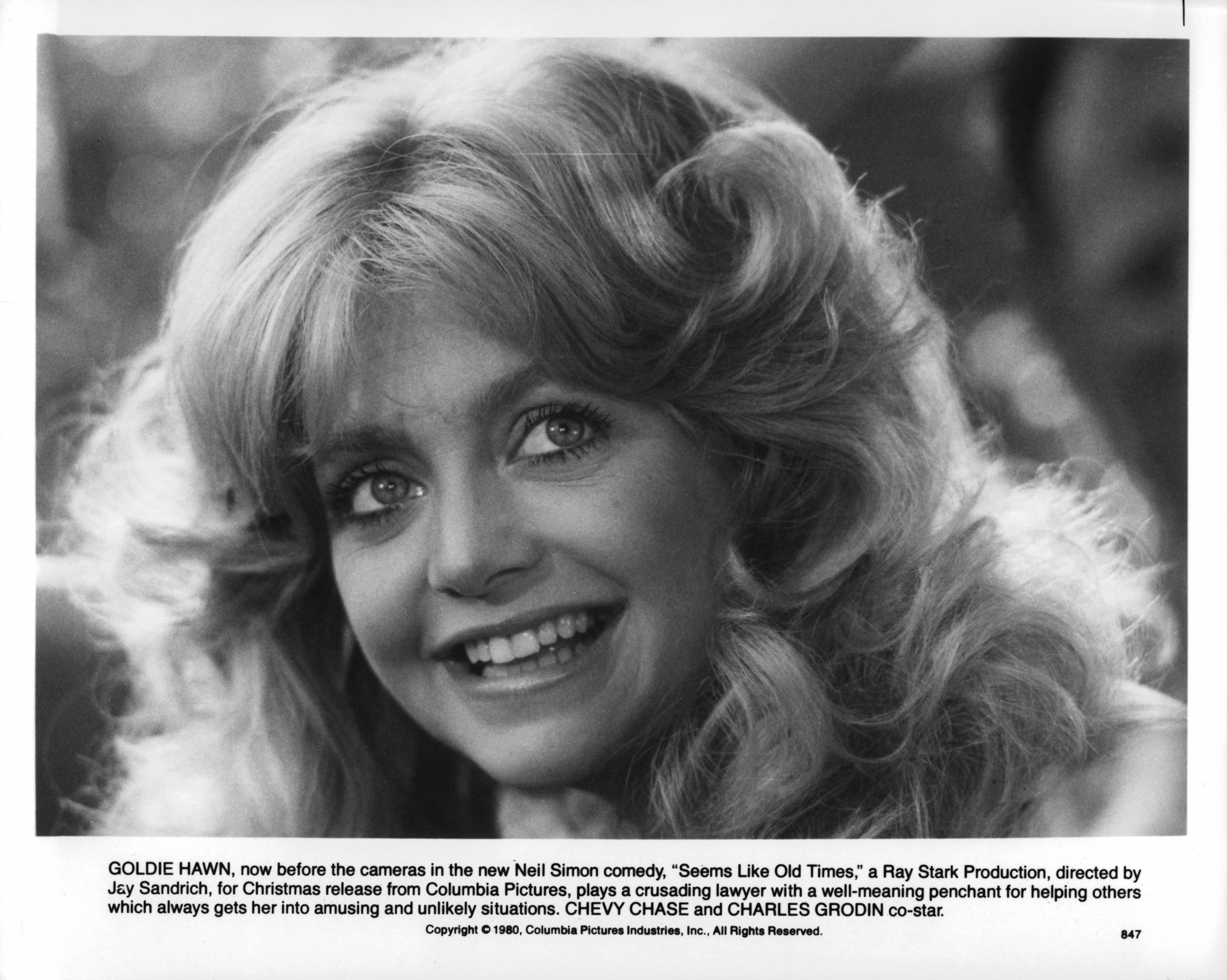 Still of Goldie Hawn in Seems Like Old Times (1980)