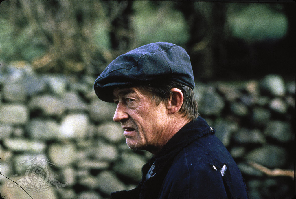 Still of John Hurt in The Field (1990)