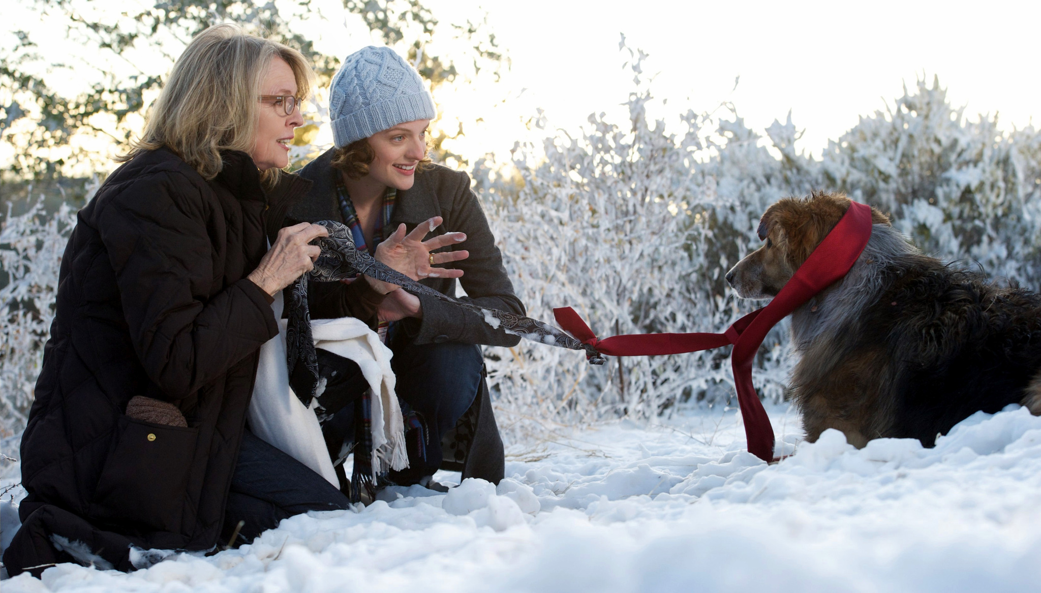 Still of Diane Keaton and Elisabeth Moss in Darling Companion (2012)