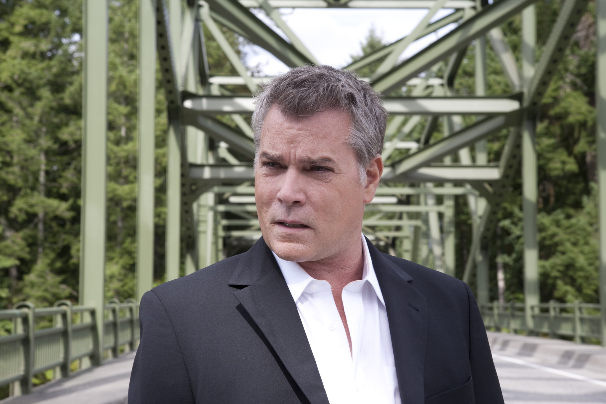 Still of Ray Liotta in The Details (2011)