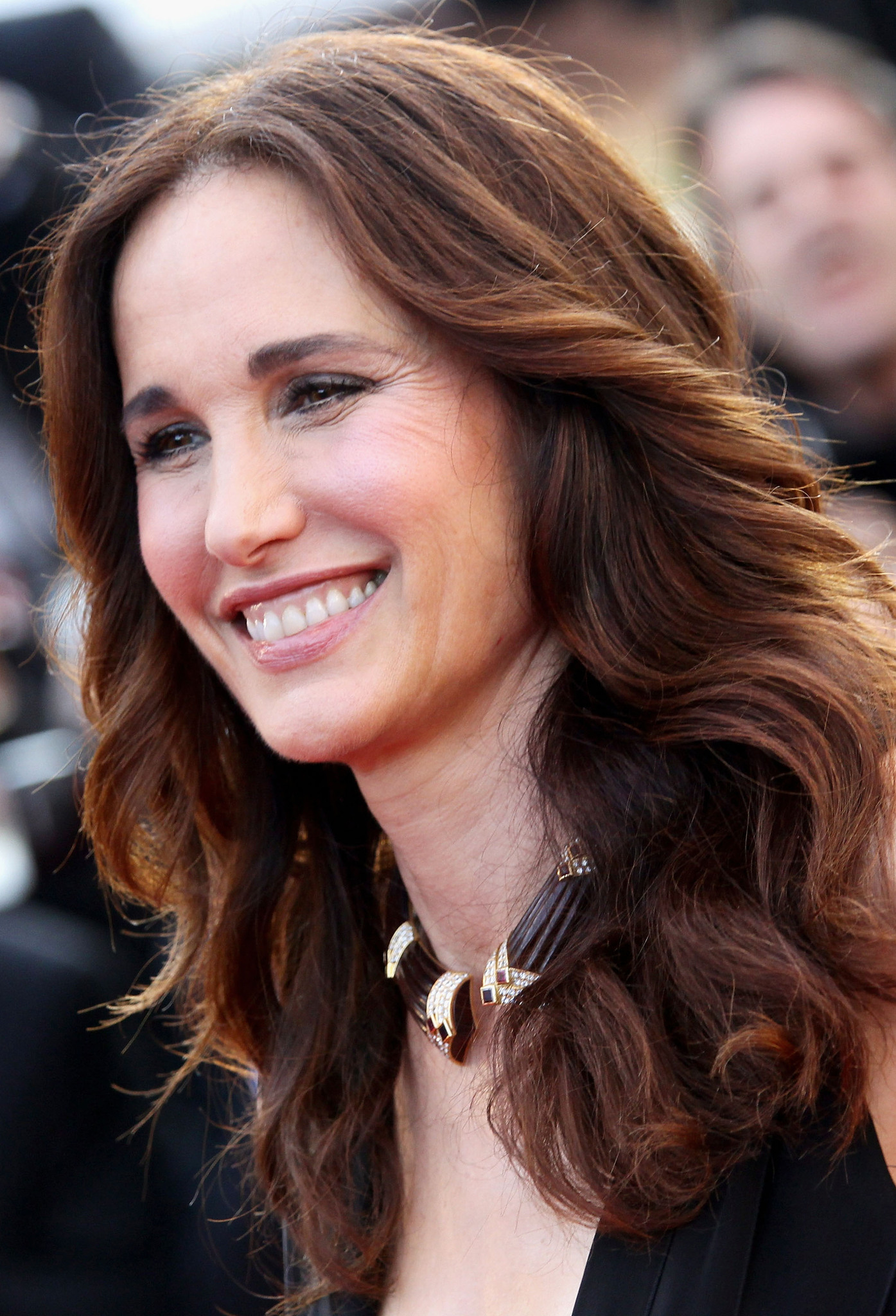 Andie MacDowell at event of Mud (2012)
