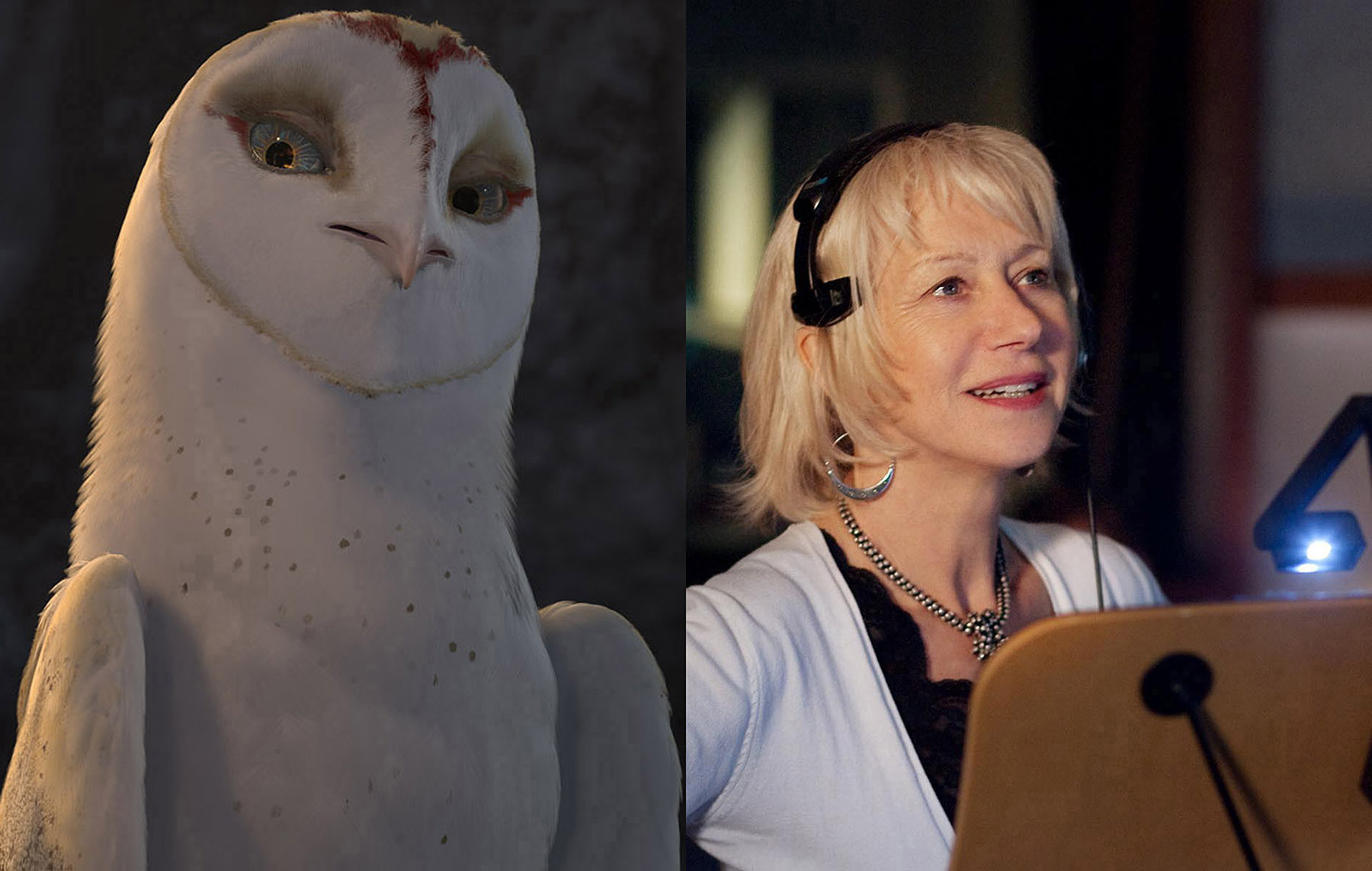 Still of Helen Mirren in Legend of the Guardians: The Owls of Ga'Hoole (2010)