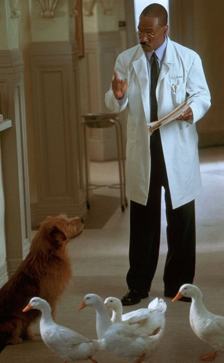 Still of Eddie Murphy in Dr. Dolittle 2 (2001)