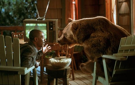 Still of Eddie Murphy in Dr. Dolittle 2 (2001)