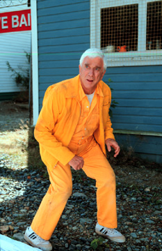 Leslie Nielsen stars as Ryan Harrison