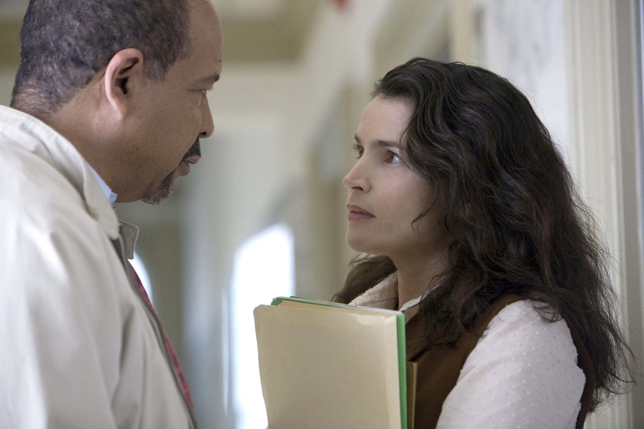 Still of Julia Ormond in The Wronged Man (2010)