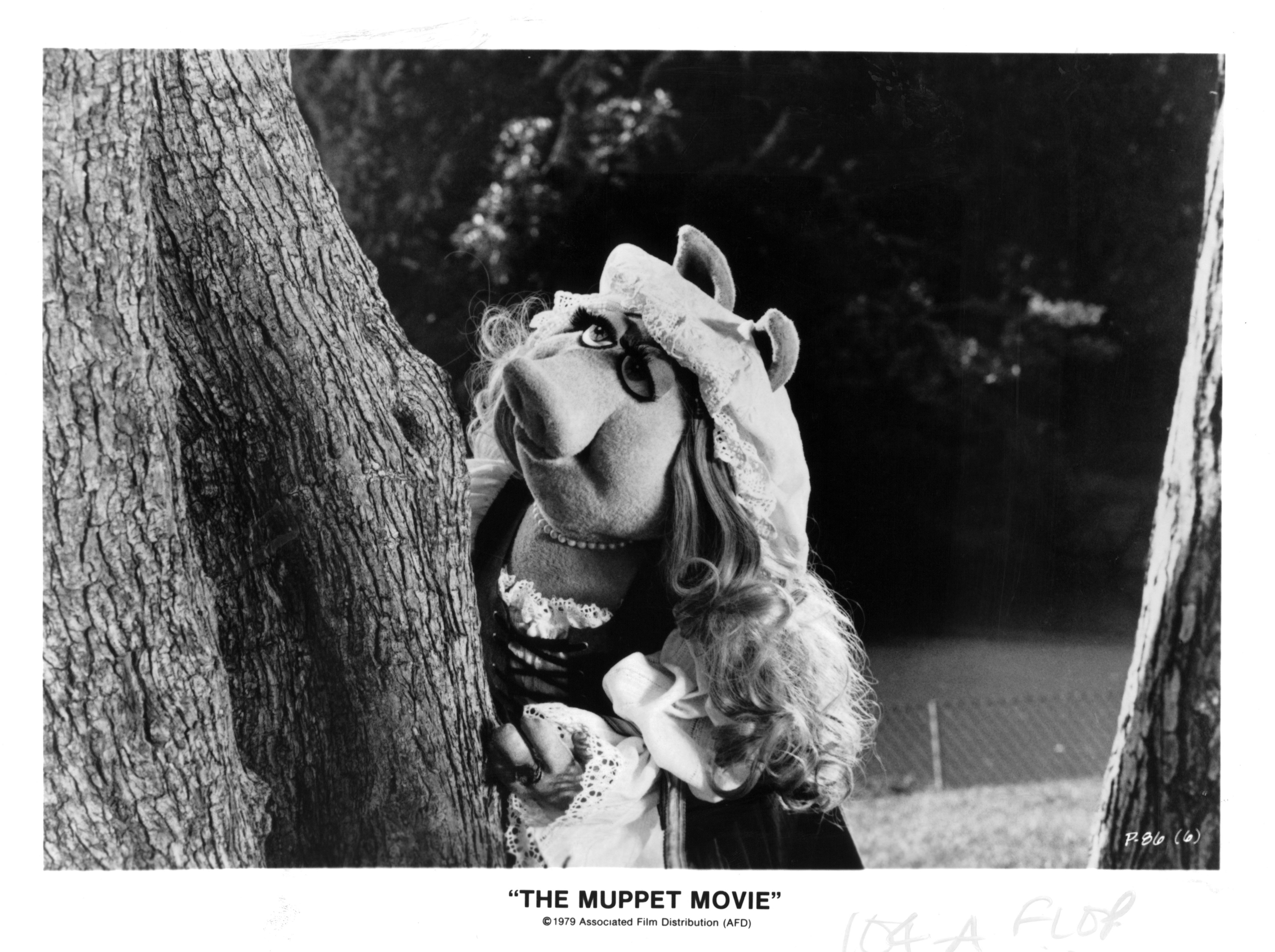 Still of Frank Oz in The Muppet Movie (1979)