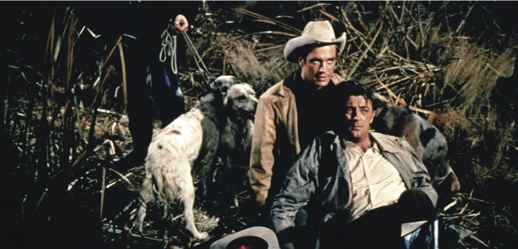 Still of Robert Mitchum and George Peppard in Home from the Hill (1960)
