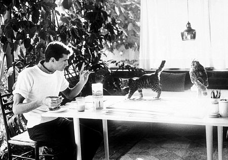 Anthony Perkins with his pet cat at home in Los Angeles, CA, 1959.