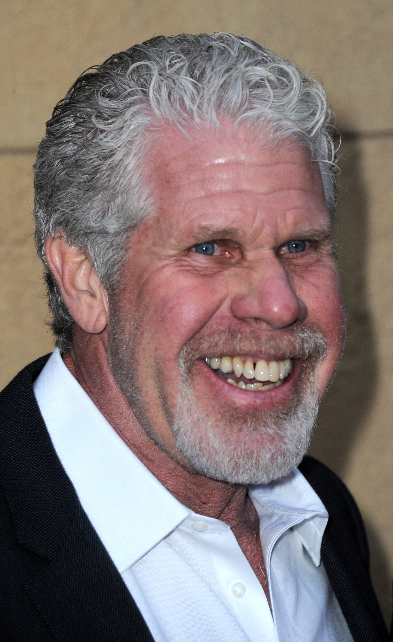 Ron Perlman at event of Skin Trade (2014)