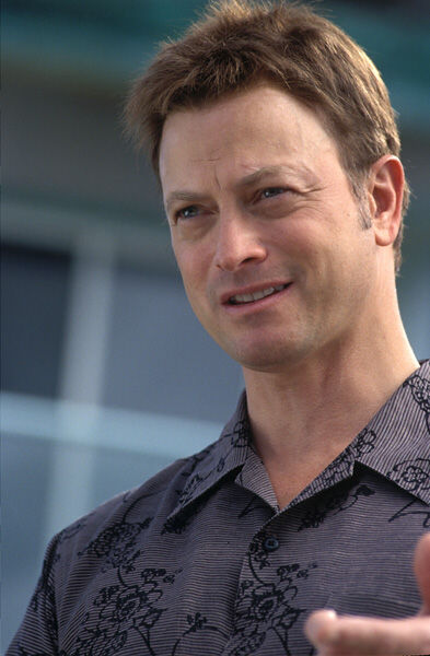 Still of Gary Sinise in The Big Bounce (2004)