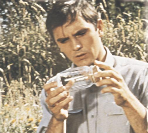 Still of Terence Stamp in The Collector (1965)
