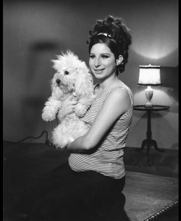 Barbra Streisand with her poodle 