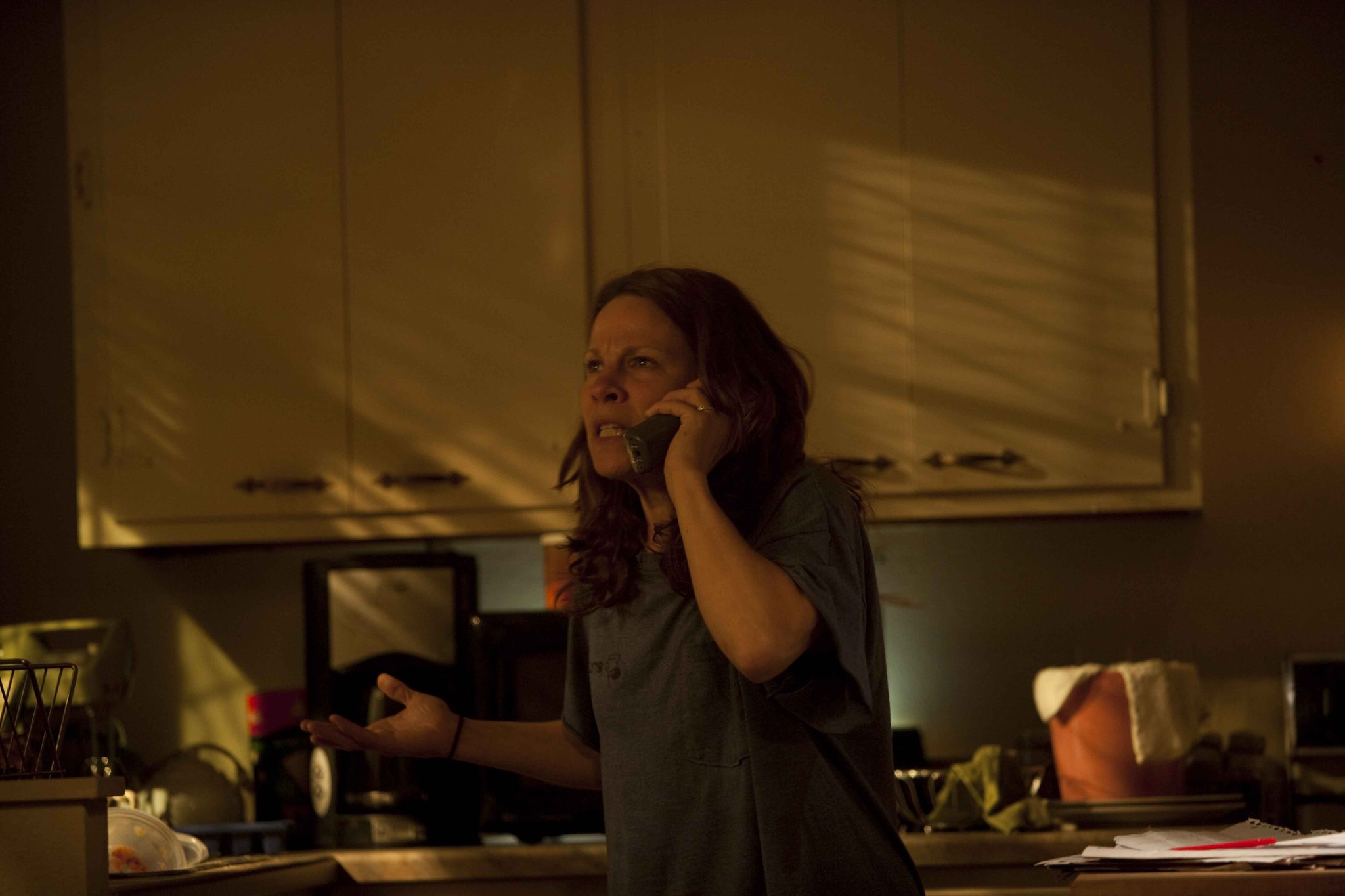 Still of Lili Taylor in About Cherry (2012)