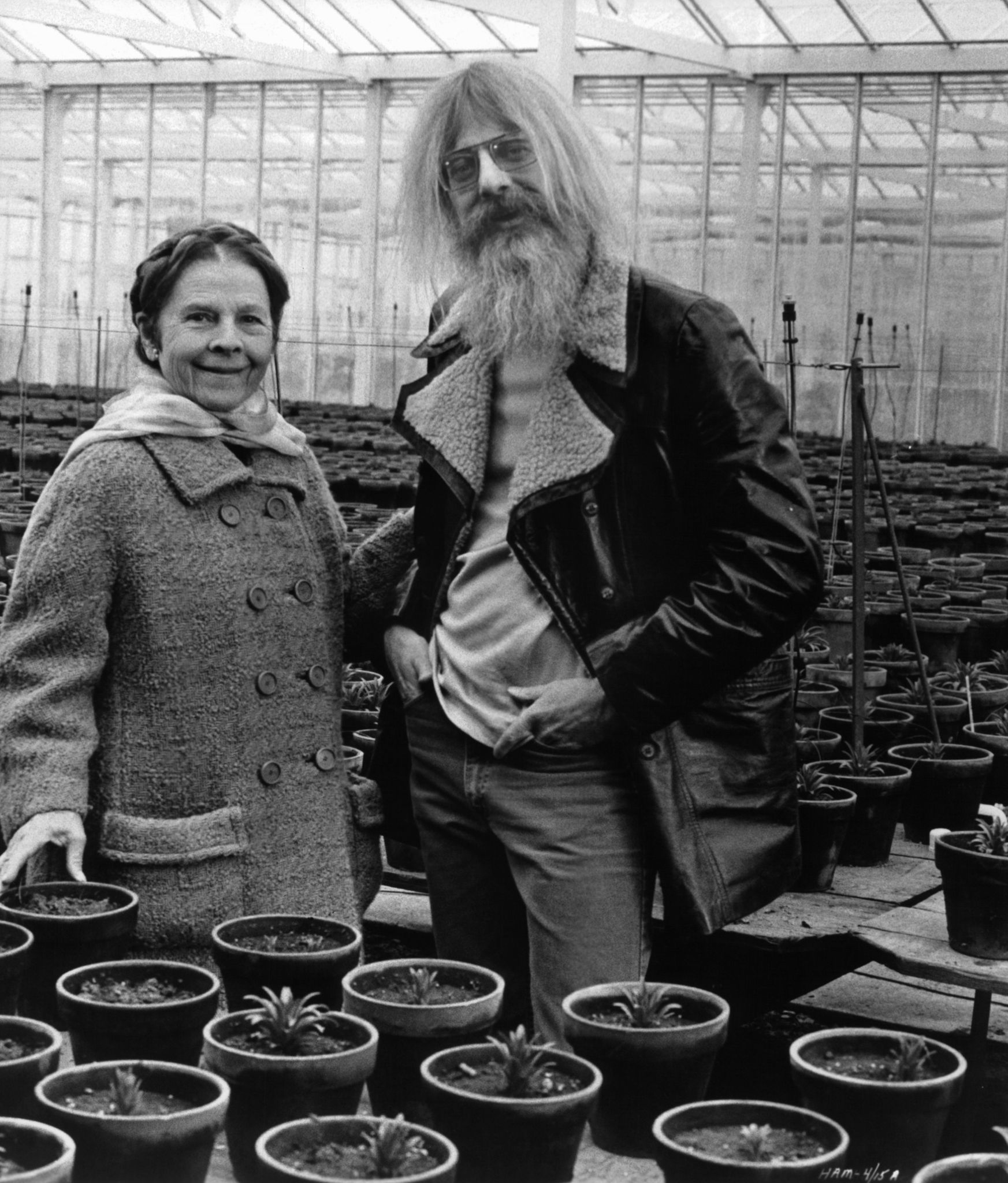 Still of Hal Ashby and Ruth Gordon in Harold and Maude (1971)