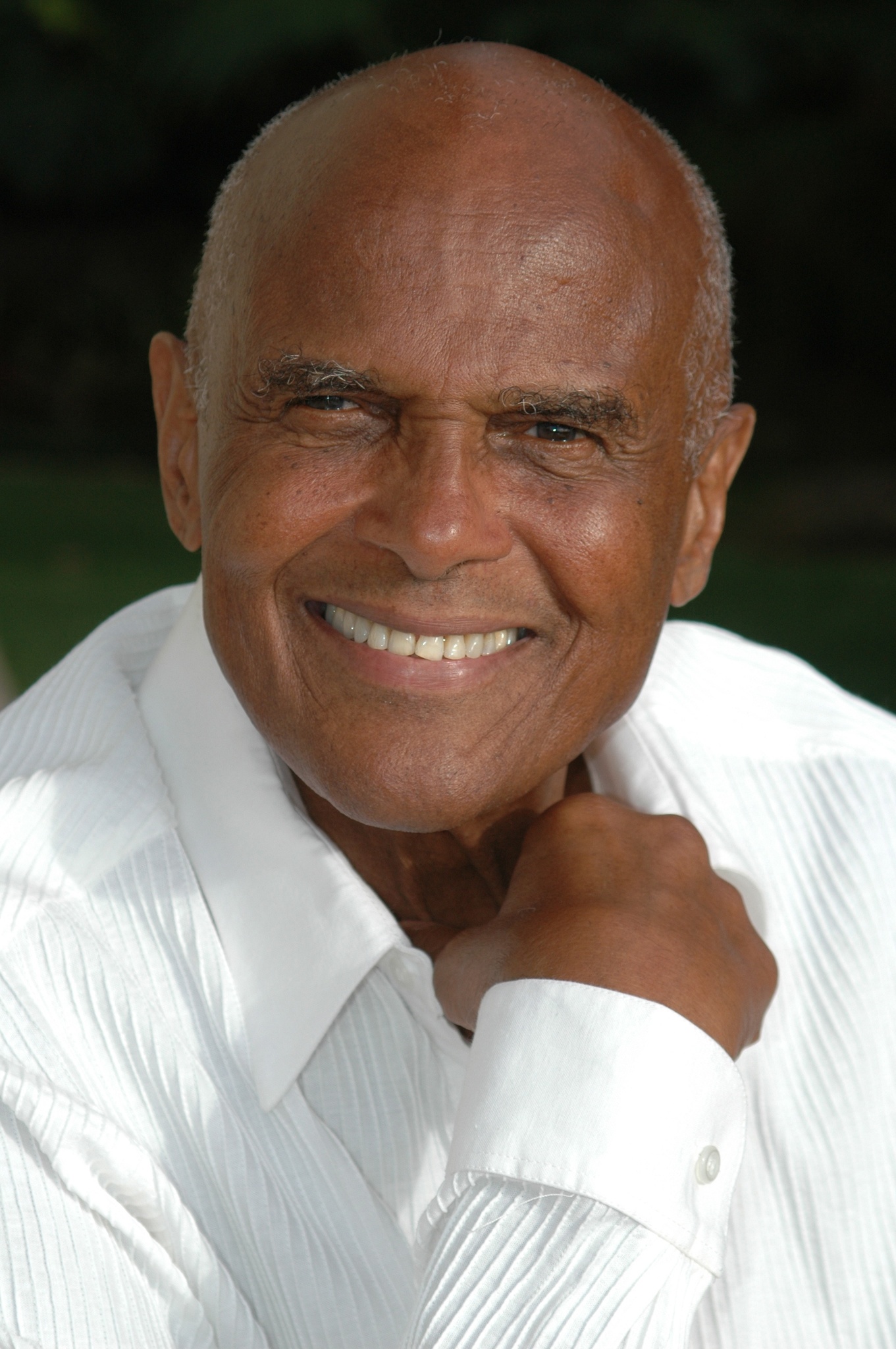 Harry Belafonte in Sing Your Song (2011)