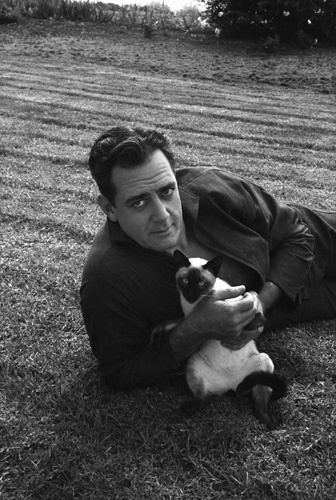 Raymond Burr at home with his Siamese cat circa 1960s