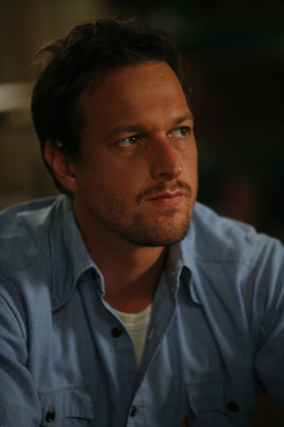 Still of Josh Charles in In Treatment (2008)