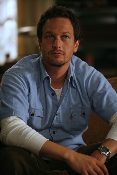 Still of Josh Charles in In Treatment (2008)