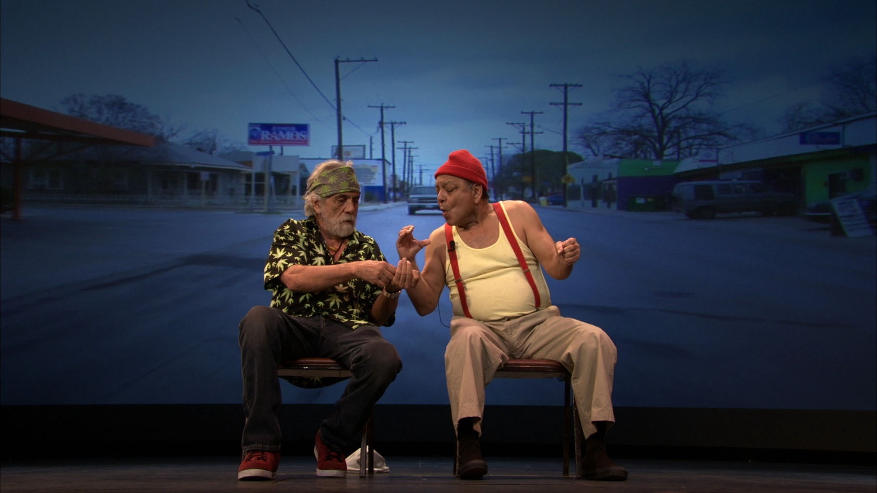 Still of Tommy Chong and Cheech Marin in Hey Watch This (2010)