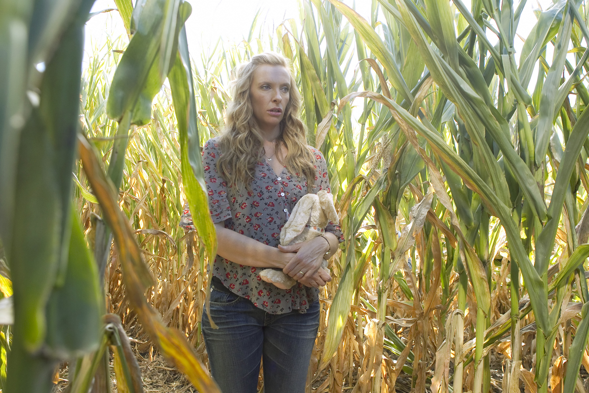 Still of Toni Collette in United States of Tara (2009)