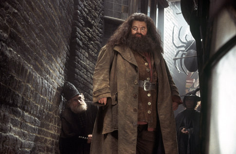 ROBBIE COLTRANE as Hagrid in Warner Bros. Pictures' 